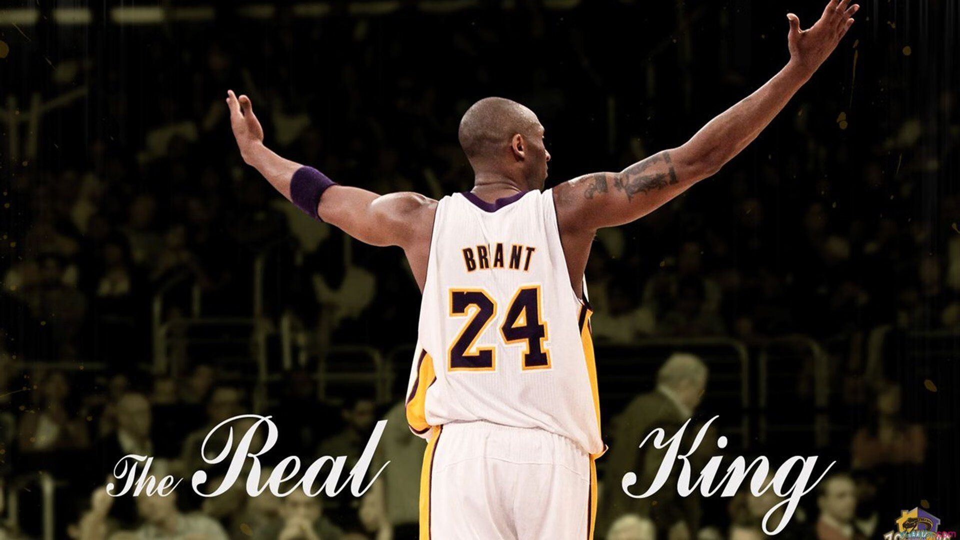 字母哥爆发,湖人巅峰对决险胜,上海队展现国际篮球新势力